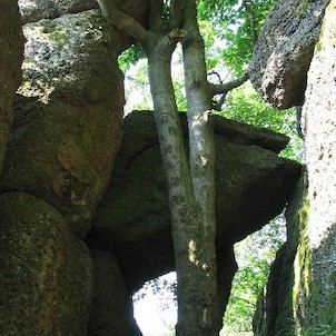 Výhledová skála nad Rakoveckým údolím, Přístup na výhledovou skálu chce trochu odvahy, ale pohled do údolí stojí za to.