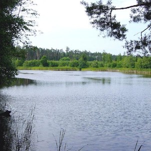 Hradecké lesy - Rybník Výskyt