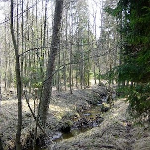 Hradecké lesy - Stříbrný potok