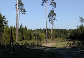 Hradecké lesy