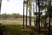 Hradecké lesy- rybník Výskyt