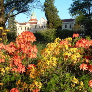 Zámecký park - květen 2005