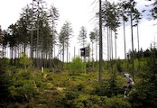 Mezi Bedřichovem a Novou Loukou