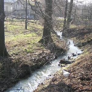 Skučák - Rychvaldská stružka vytékající z rybníku