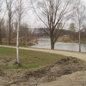 Stezka vede i přímo kolem Odry