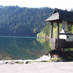 Pohled k jezerní stěně
