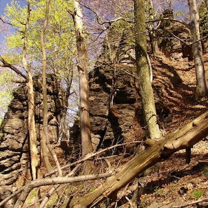 Zamutovské skaly, Typické skalné vežičky uprostred javorín a bučín