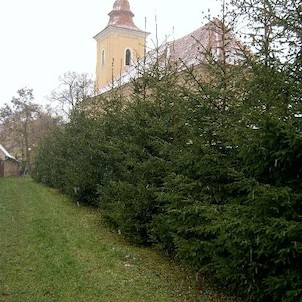 Vyšehořovice kostel