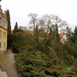 Průhonice 105