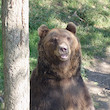 Zoologická zahrada Košice