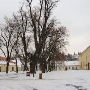 Zimní prohlídka Břevnovského kláštera