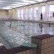 Plavecký bazén Tyršův dům
