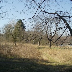 Milíčovský les