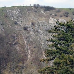 Skály