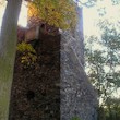 files/gallery/2624/15581.jpg
