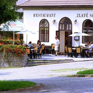 Zlaté sele