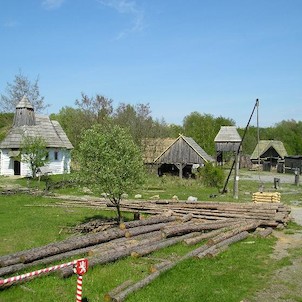 řepora