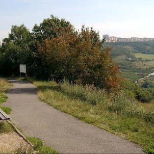 Cesta od rozcestníku ke zřícenině