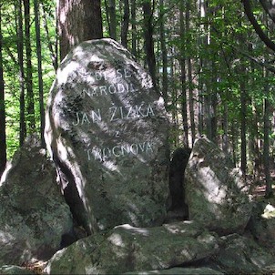 Trocnov, pamětní kámen