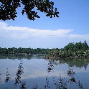 Opatovický rybník.
