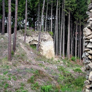 Pořešín