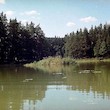 Staňkovský rybník