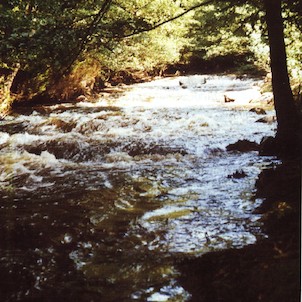 Řeka Dračice