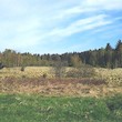 files/gallery/3151/20898.jpg
