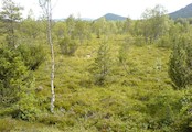 Chalupská slat´