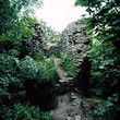 files/gallery/270/2492.jpg