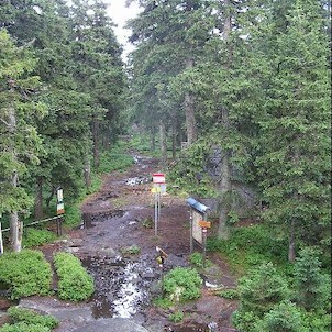 Plechý, Plechý