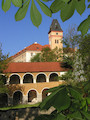 věž s kaštanem