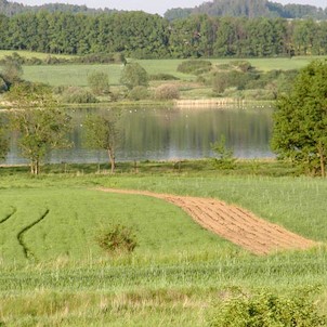 Rybník