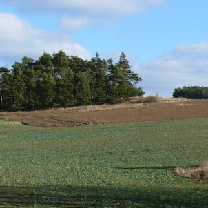 Příroda2