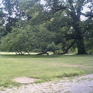 Park