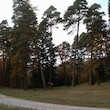 Arboretum Řícmanice