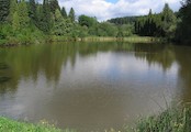 Arboretum Křtiny