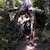 Vykotlaný pařez u Bezručova reliéfu, Obrovský pozůstatek po stromě nad Bezručovým reliéfem. Mezi kořeny může prolézt dospělý člověk.