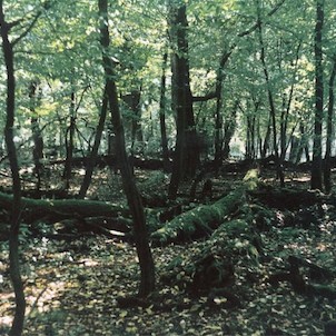 Ranšpurk