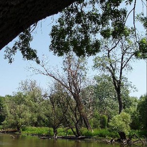 Křivé jezero