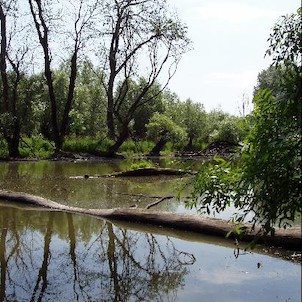 Křivé jezero