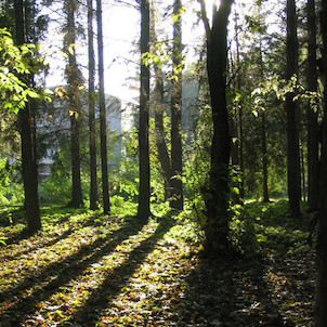 městský park