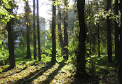 městský park