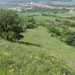 Pouzdřanská step – Kolby