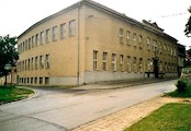 škola