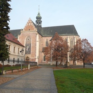 bazilika Nanebevzetí panny Marie-Mendlovo náměstí.