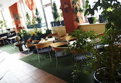 Yvy Restaurant