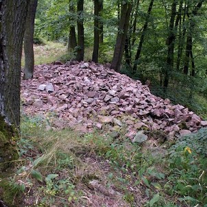 Obřany, Sutiny, které dnes zbývají z hradního paláce.