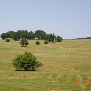 Obora Radějov