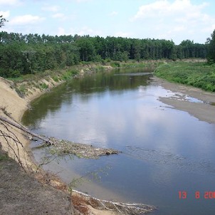 Meandry v létě